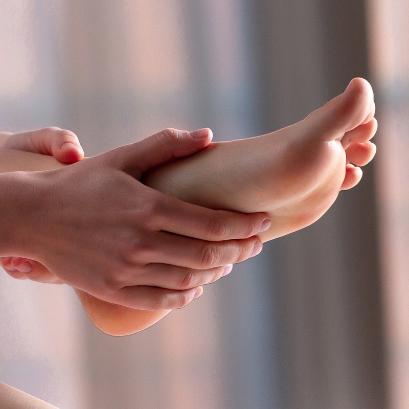 Posterior Tibial Tendon